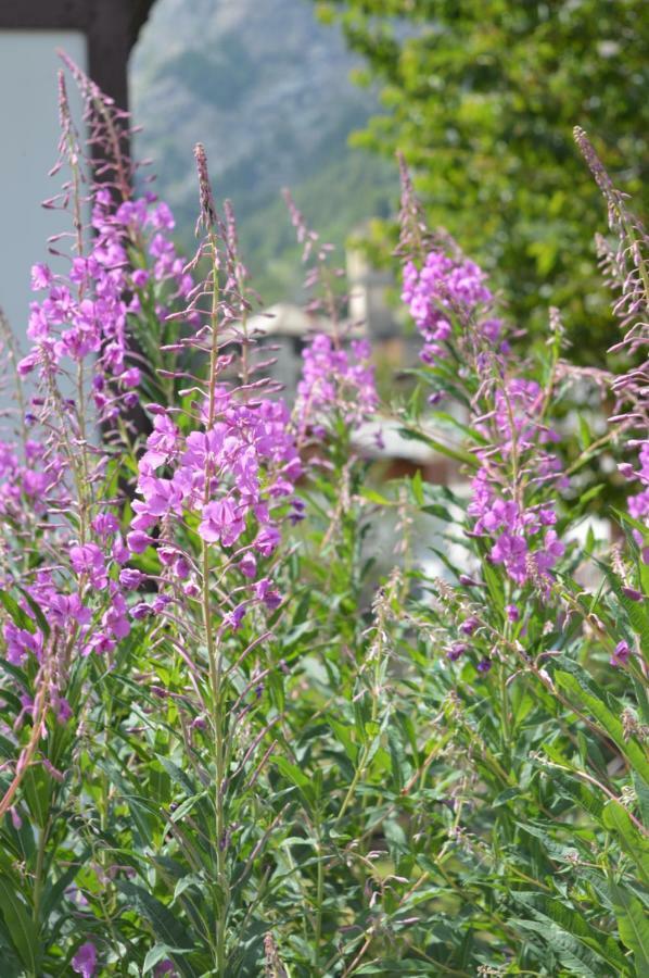 Appartamento Curnet Balme Bagian luar foto
